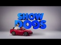 Show Dogs Official Movie Trailer - Now Playing!