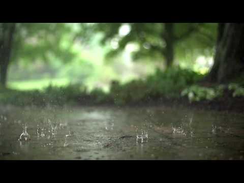 Mindful Minute -  Raindrops (Classroom, Studying, School Mental Break)