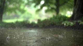 Mindful Minute -  Raindrops (Classroom, Studying, School Mental Break)