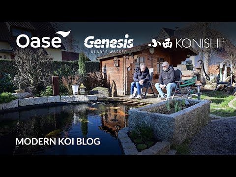 Modern Koi Blog #5858 - Jörg's striking water analysis in pond and outdoor housing