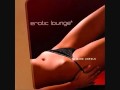 I love you - Erotic Lounge Vol. 4 (Blank & Jones ...