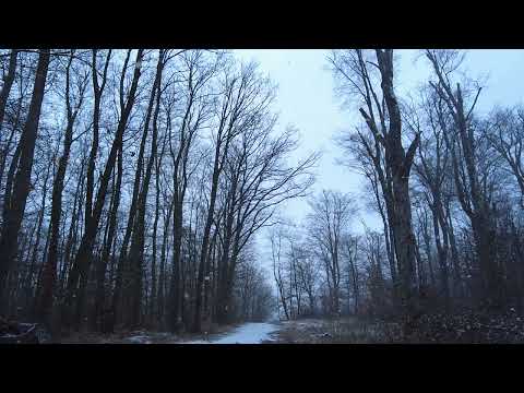 Winter - Miniature No.1