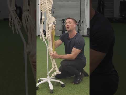 The Secret To Fix Tight Hamstrings