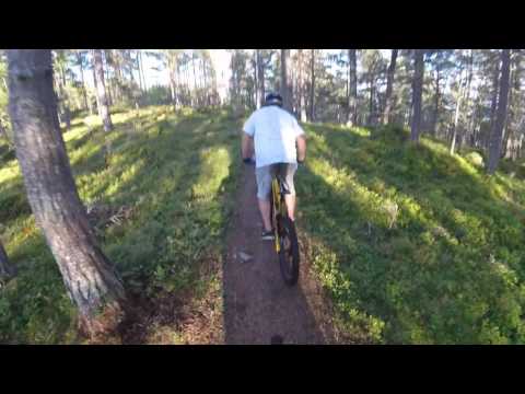 Sykkling ned Storehogen // Sogndal