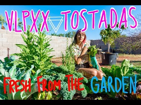 VLPXX Cooking Show - Roasted Beet and Carrot Tostadas...