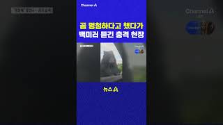 곰 멍청하다고 했다가 백미러 뜯긴 충격 현장 채널A #shorts #DLAB #ashorts
