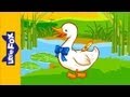Six Little Ducks Nursery Rhymes By Little Fox