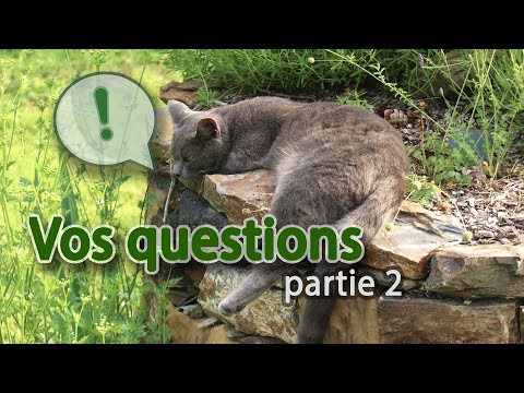 , title : 'Vos questions: terrain, potager, animaux – FAQ 2'