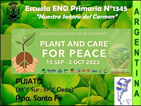 Plantaciòn ENO 2023 PUJATO Argentina