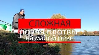 Весенняя ловля плотвы на малой реке