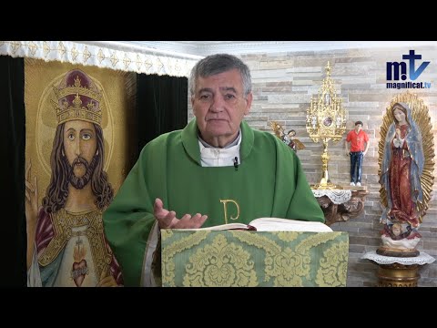 Confía en la Gracia de Dios y Lucha | Homilía de Hoy: Miércoles (05-11-25) | P.Santiago Martín, FM