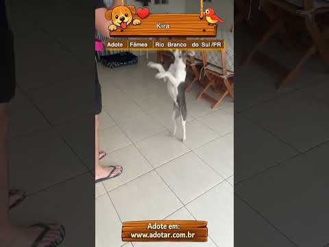 Vídeo de Kira