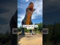 Dinosaur Ride That Eat People Love Dinosaur New Nepal Famous California Funny Cute