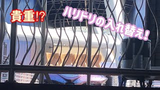 【貴重‼︎】ハリドリのライドが車庫から登場⁉︎ 【USJの旅38】