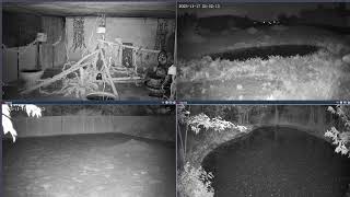 Thumbnail del capítulo