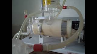 Double distilled water / DDH2O /  boiled water / purified water / how to prepare sterilised water