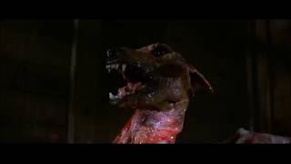 Unholy Abductor - Municipal Waste