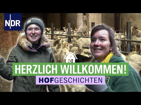 , title : 'Neuer Hof bei den Hofgeschichten: Viel Arbeit mit den Ziegen | Hofgeschichten (208) | NDR'