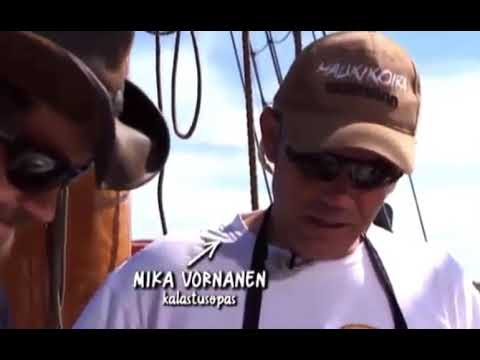 Lohen perkaus ja käsittely