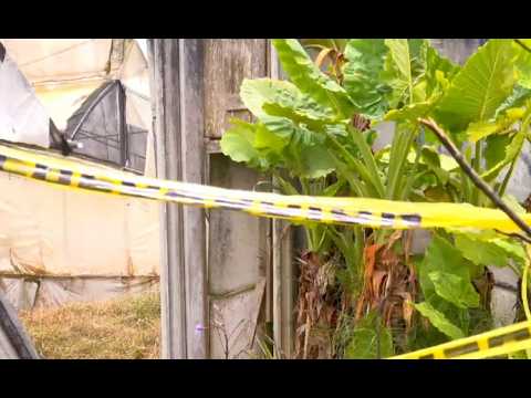 Estado de parque infantil en Cartago genera preocupación en vecinos