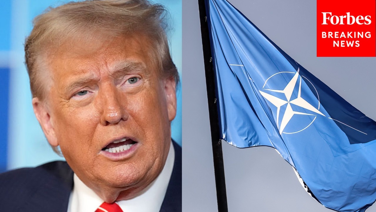 Video | 'I Didn't Even Want Their Help': Trump Slams NATO Allies Over Unwillingness To Join Iran Strikes