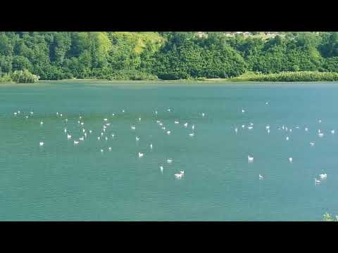 Lacul Pangarati,jud.Neamt,8.06.2022.