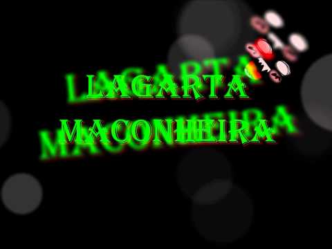 QUERIA SER UMA LAGARTA