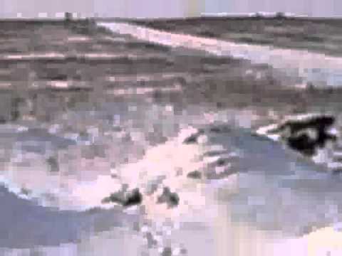 calaretii de la stefan voda 1