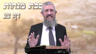 מסכת מנחות דף צג - 8 דקות של לומדות ועמקות בדרך הלימוד הישיבתית [Menachot 93]