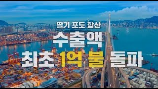딸기, 포도 수출 최고 실적 달성