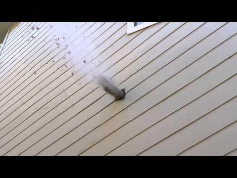 YouTube video about: How to remove bird nest from dryer vent?