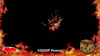 PERMON 25 RAN