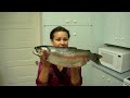 How to Cook Microwaved Garlic Rainbow Trout