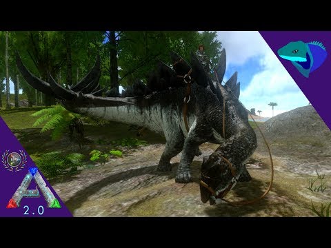 STEVE THE ASCENDANT STEGO! SUPER SPEEDY BOI! ARK: Mobile Extras