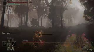 [エルデンリング] 神肌とたたかいます