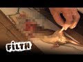 How To Combat A Rat Invasion! How To Combat A Rat Invasion!