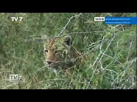 Tv7 con Voi del 23/04/2015 - Viaggiamo (1 di 3)