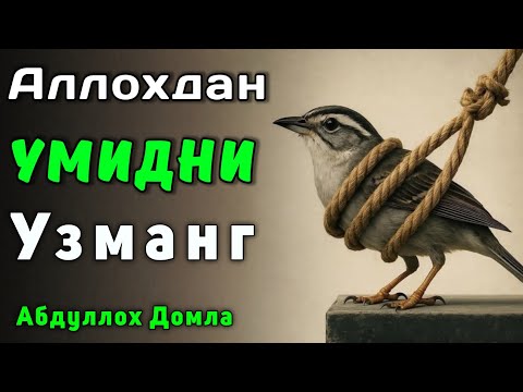 Аллоҳдан Умидни Узманг | Абдуллох Домла 2025 | Abdulloh Domla 2025 | ilmnuri