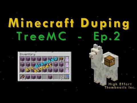 We shut down a Pay-To-Win Minecraft Server (Duping on TreeMC - Episode 2)