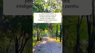 Download lagu e mai finuț să fii un bun observator, uneori te scoate din necazuri #ytshorts#citatemotivationale mp3