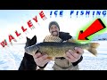 Video Thumbnail for Ice Fishing For Walleye! Catch And Clean / How To Clean / Fillet A Pickerel Fish / Saskatchewan