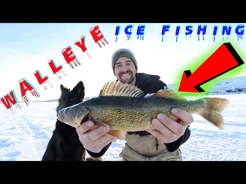 Ice Fishing For Walleye! Catch And Clean / How To Clean / Fillet A Pickerel Fish / Saskatchewan