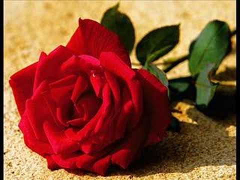 MatheusXavier180’s Video 33770658672 6zJ_4vIbSqQ