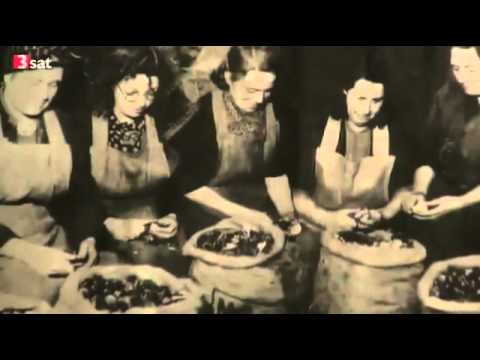 Gefährliche Mahlzeiten   Wie Nahrung unser Erbgut beeinflusst Doku über Erbgut Teil 1