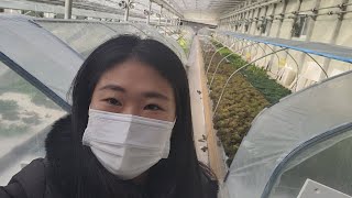 [서유채Farm - 13편] 아쿠아포닉스 새로운 발돋움