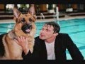 Kommissar Rex Kiss Me Alex Rex