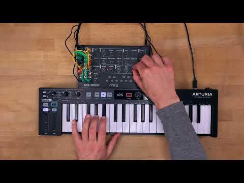 Moog Mavis Sound Demo (no talking)