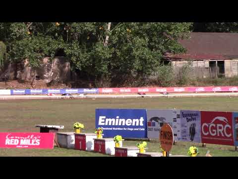 European Derby Puppy Sprint 2nd semi  -  01.10.2021