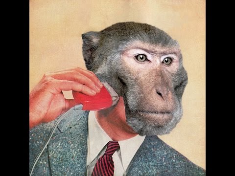 SCIMMIE - Management Del Dolore Post-Operatorio