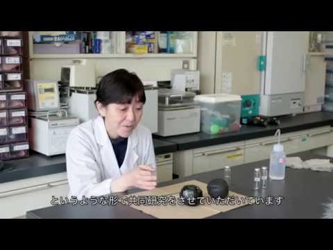 【神奈川大学】　2人の女性研究者　～それぞれの研究の現場から～